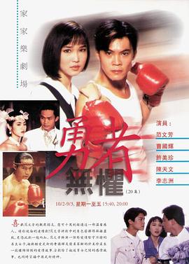 勇者无惧1994第13集