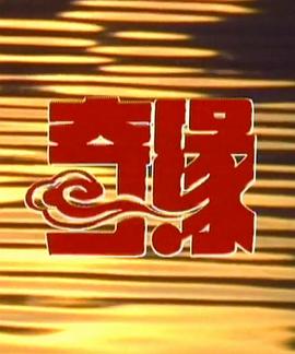 奇缘2第30集(大结局)