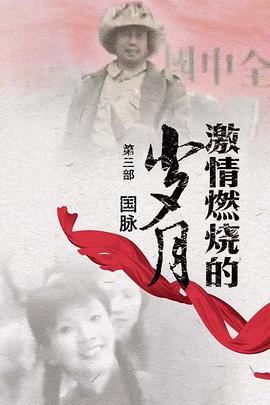 激情燃烧的岁月3第05集