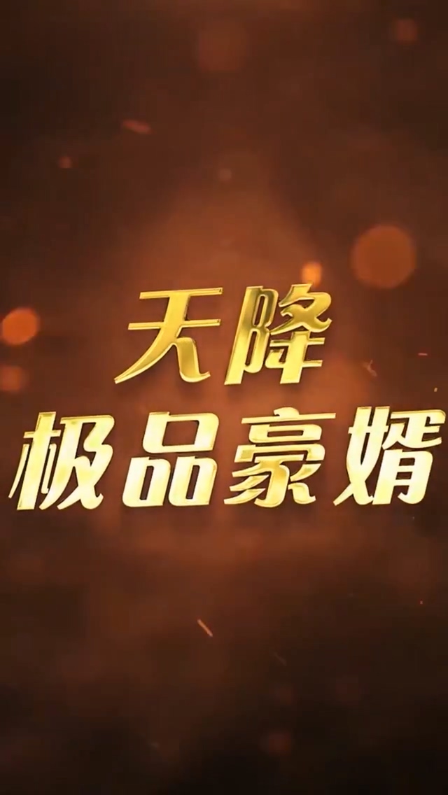 天降极品豪婿第133集