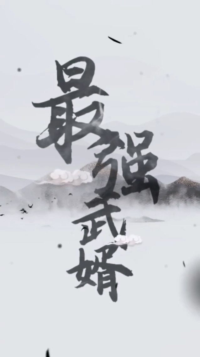 最强武婿第29集
