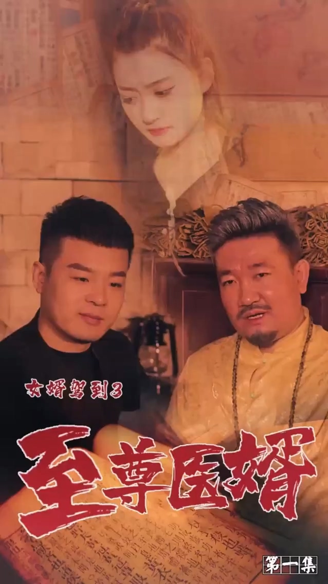女婿驾到3第52集