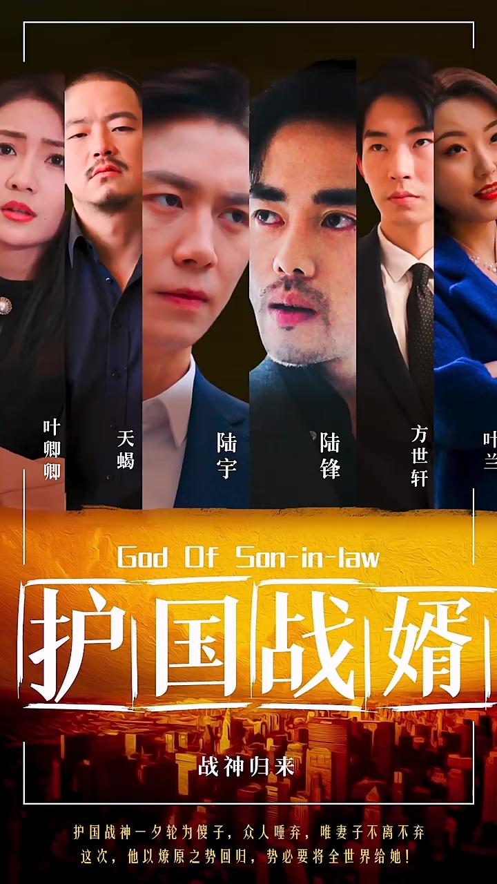 护国战婿第54集