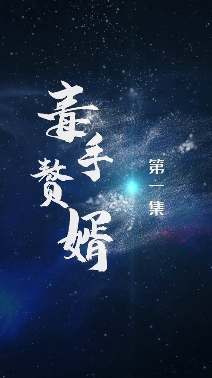 毒手赘婿第14集