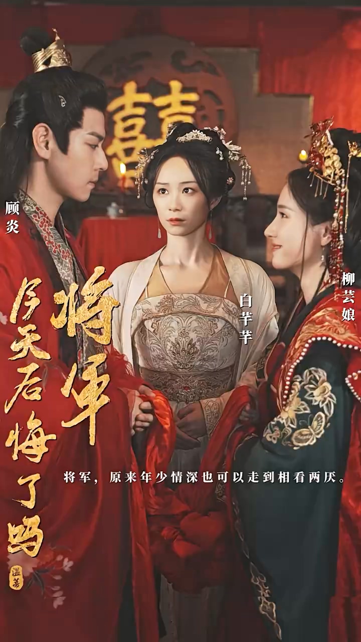 将军，今天后悔了吗第13集