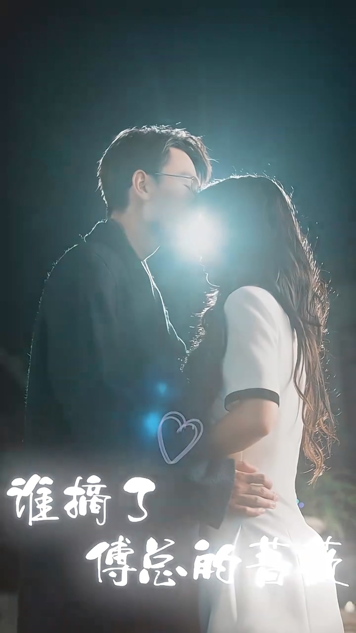 谁摘了傅总的蔷薇第04集