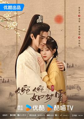 婉婉如梦霄第14集