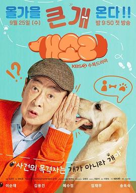 狗话第12集完结(大结局)