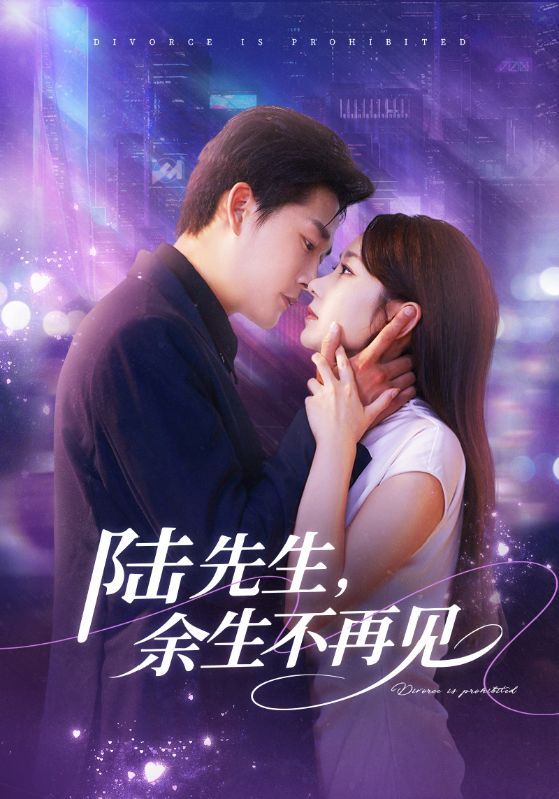 陆先生，余生不再见(全集)