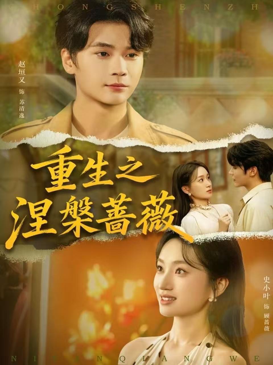 重生之涅槃蔷薇(全集)