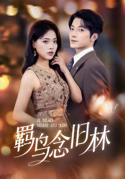 羁鸟念旧林(全集)